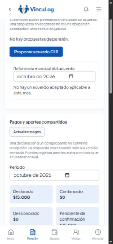 Interfaz real de pensión y pagos compartidos con importes ficticios de prueba.